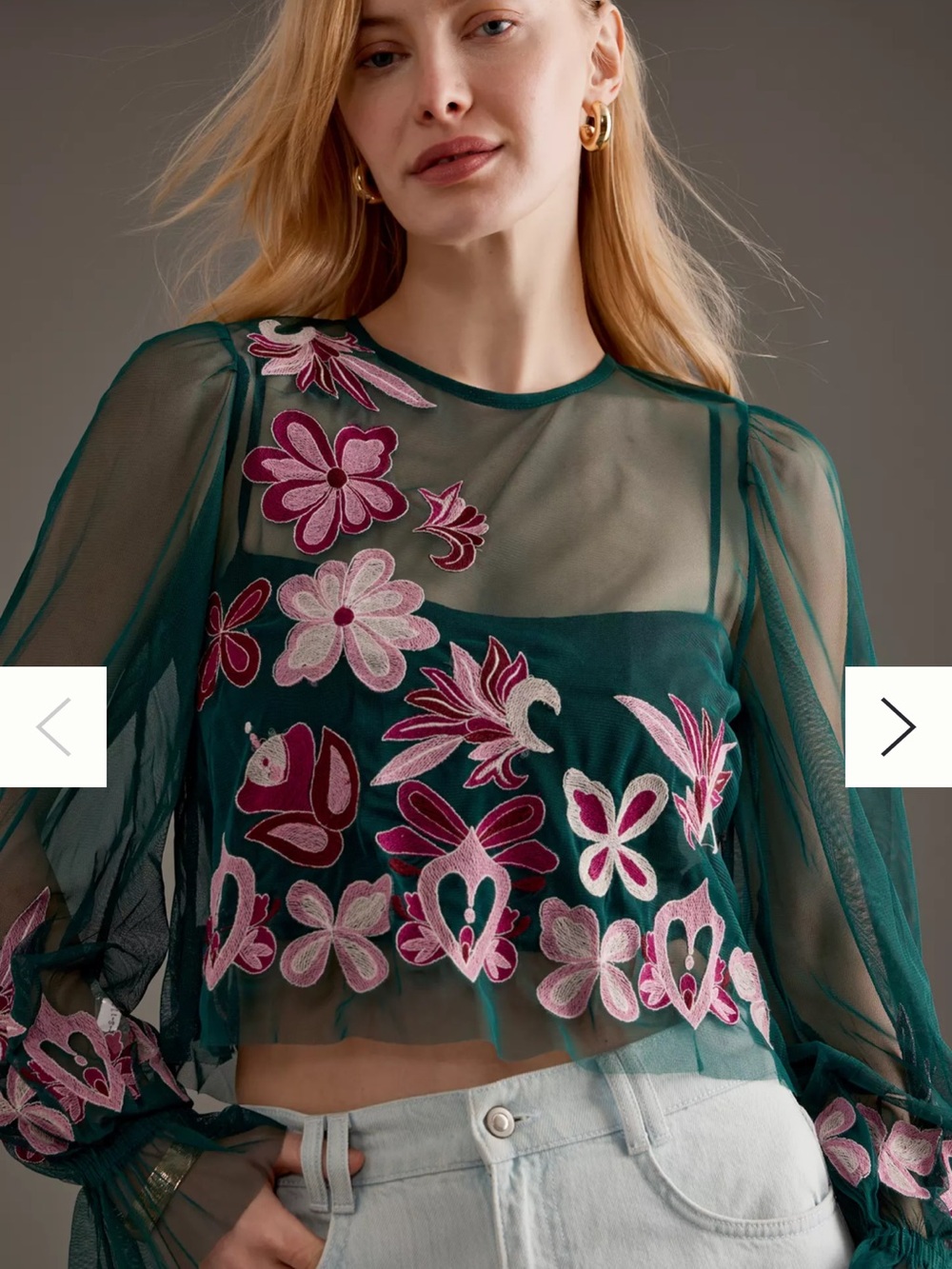 Anthropologie Long Sleeve Embroidered Mesh Top See Through Green Pink Floral